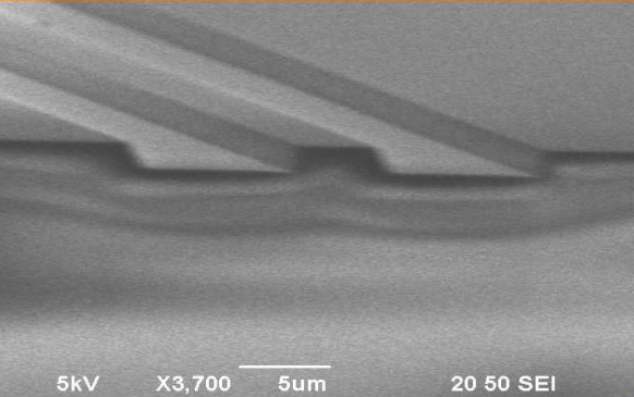 1661506009484911.jpg 23.jpg